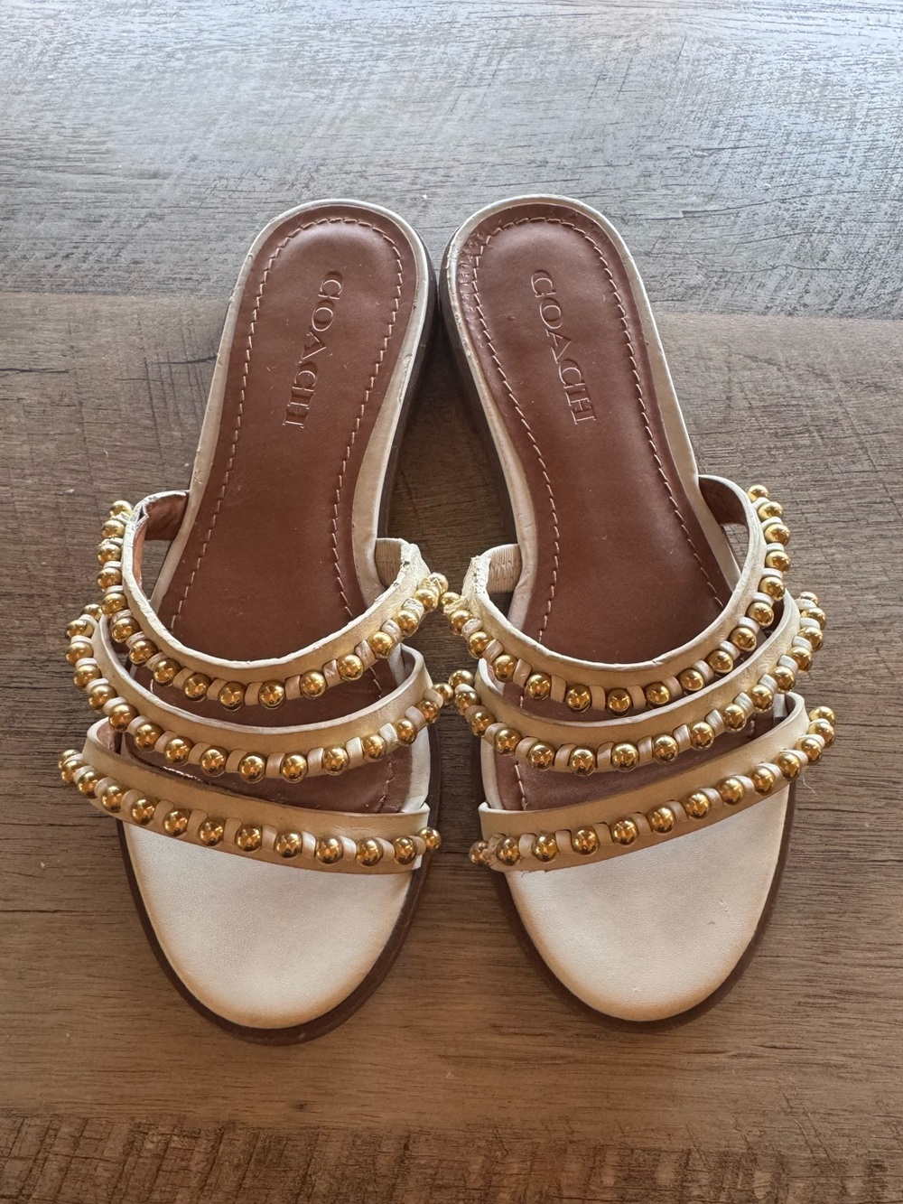 Coach Isa Studded Leather Slide Sandal (5B)